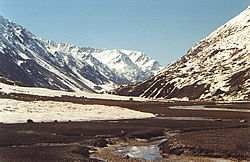 Mantalai Landscape - Photo provided by Himalayan Quest Adventures, Manali